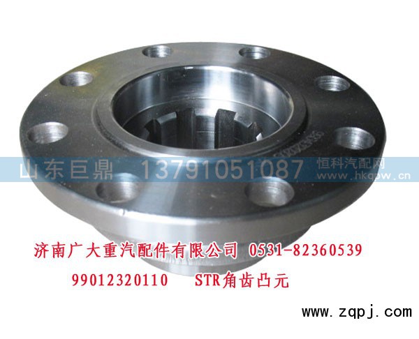 99012320110,STR角齿凸元,济南鑫巨鼎汽车配件有限公司