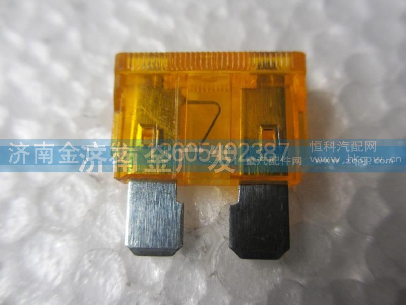 81.25436.0063,土黄色熔断丝（5A）,济南金广发商贸有限公司