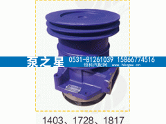 612600061728,水泵总成,山东泵之星动力有限公司