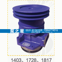 612600061728,水泵总成,山东泵之星动力有限公司