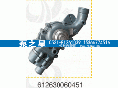 612630060451,水泵总成,山东泵之星动力有限公司