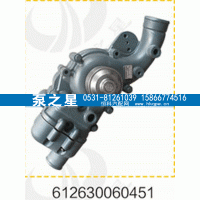 612630060451,水泵总成,山东泵之星动力有限公司