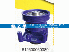 612600060389,水泵总成,山东泵之星动力有限公司