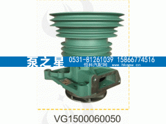 VG1500060050,水泵总成,山东泵之星动力有限公司