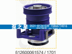 612600061701,水泵总成,山东泵之星动力有限公司