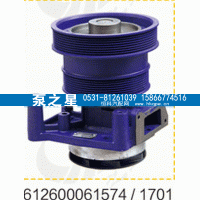 612600061701,水泵总成,山东泵之星动力有限公司