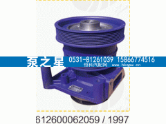 612600061997,水泵总成,山东泵之星动力有限公司