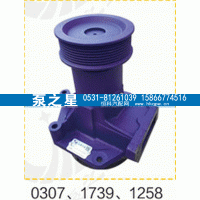 612600061739,水泵总成,山东泵之星动力有限公司