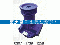 612600061258,水泵总成,山东泵之星动力有限公司