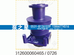 612600060726,水泵总成,山东泵之星动力有限公司