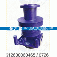 612600060726,水泵总成,山东泵之星动力有限公司