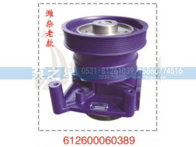 612600060389,水泵总成,山东泵之星动力有限公司