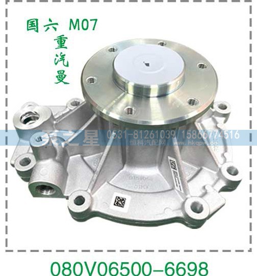国六M07重汽曼泵头080V06500-6698