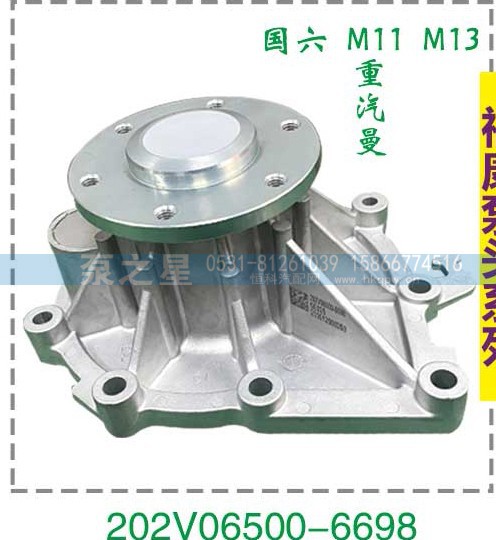 国六M11 M13重汽曼泵头202V06500-6698