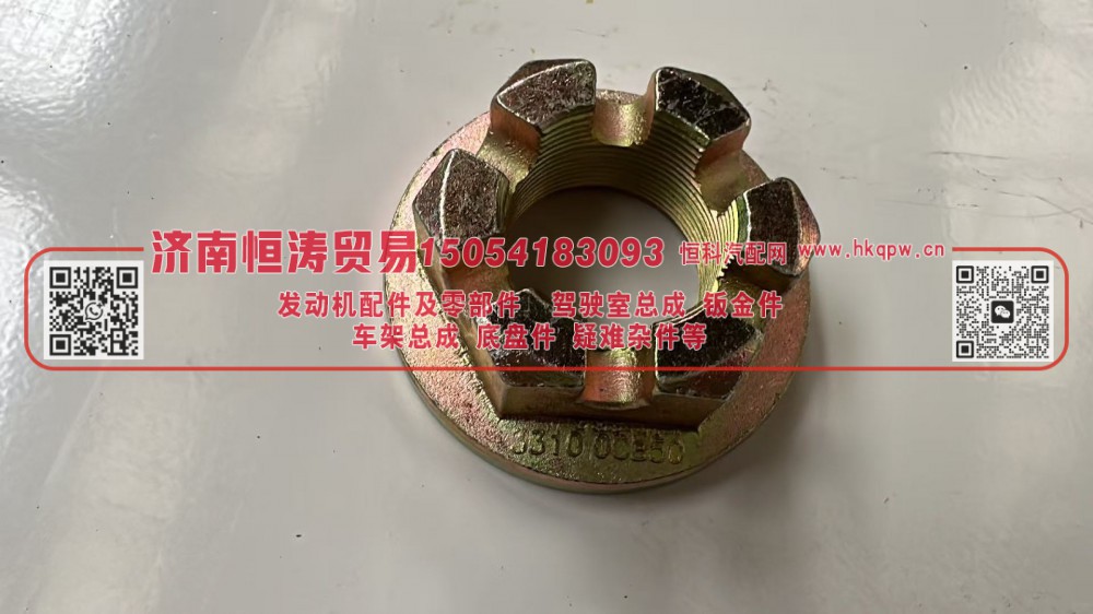 179000320013 STR角齿螺母 济南恒涛贸易有限公司