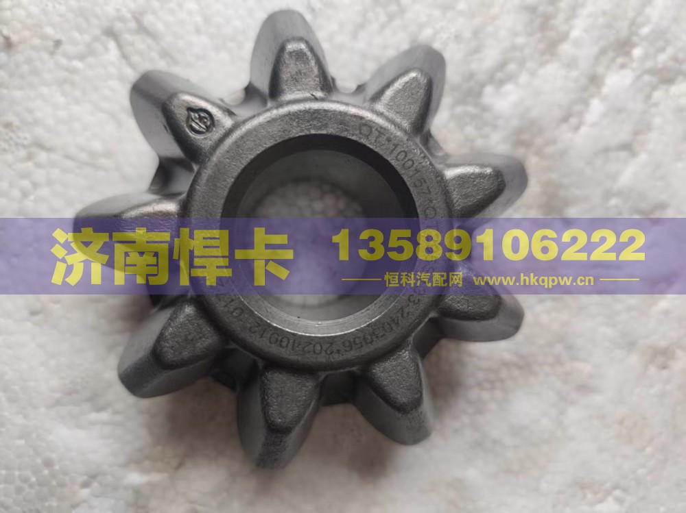 名称：后桥行星齿 车型：青特295 型号：QT295S133-2403056