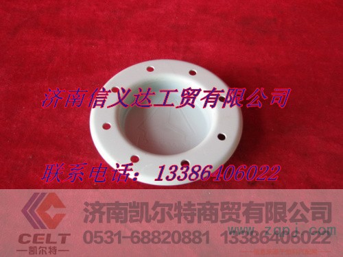 1880 410043 罩,罩,济南凯尔特商贸有限公司