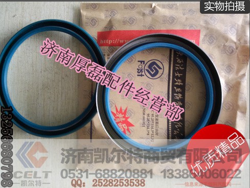 后輪油封,WG9112340113后輪油封,濟(jì)南凱爾特商貿(mào)有限公司