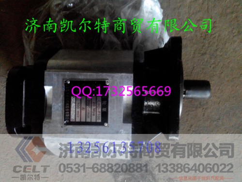 ,齿轮泵CBD-F100,济南凯尔特商贸有限公司