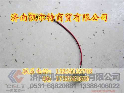 08款熄火开关WG9725716001,08款熄火开关WG9725716001,济南凯尔特商贸有限公司