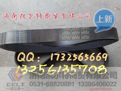 8PK807皮带,8PK807皮带,济南凯尔特商贸有限公司