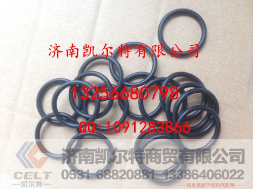 406060010,环状密封圈,济南凯尔特商贸有限公司
