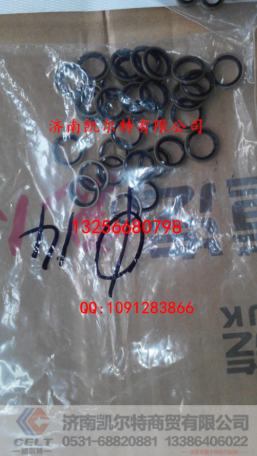 VG2600080200,密封垫圈,济南凯尔特商贸有限公司