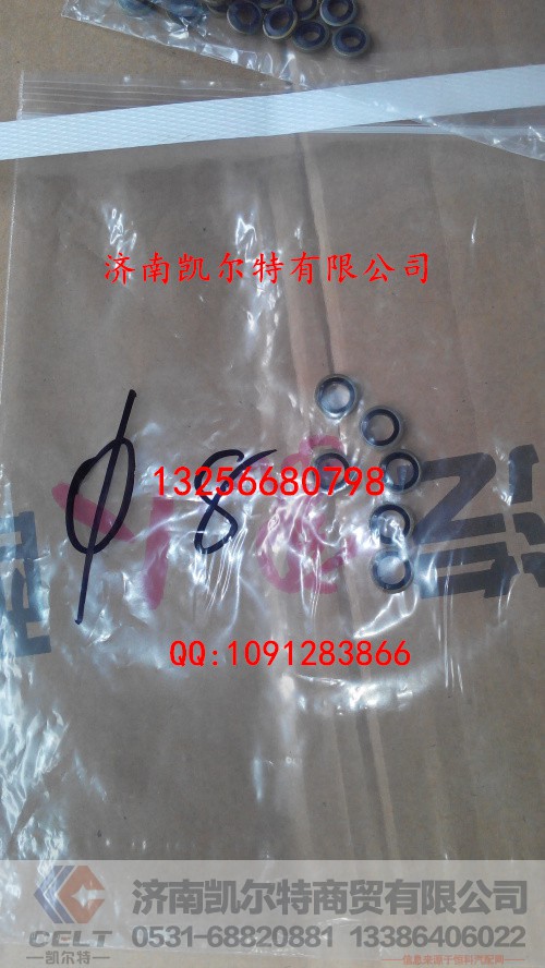VG2600080201,密封垫圈,济南凯尔特商贸有限公司
