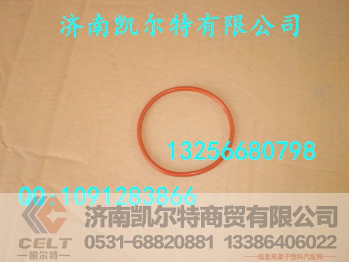 609070080,密封墊圈,濟南凱爾特商貿有限公司