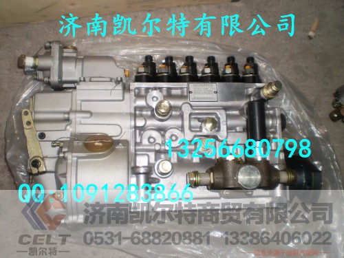 VG1560080021,国产高压喷油泵,济南凯尔特商贸有限公司