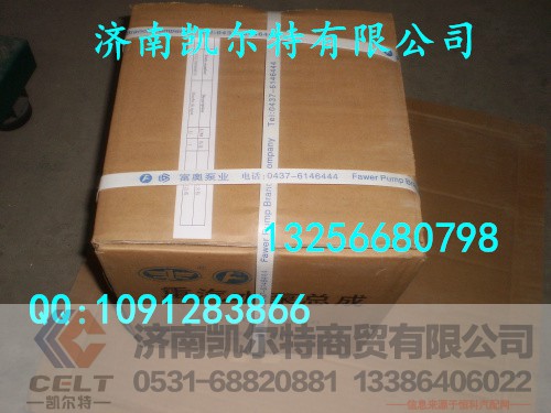 VG15000600580,水泵总成,济南凯尔特商贸有限公司