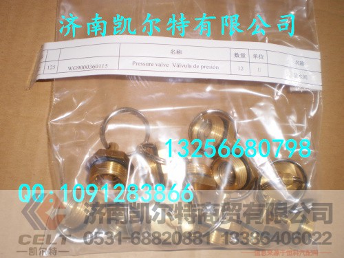WG9000360115,放水阀,济南凯尔特商贸有限公司
