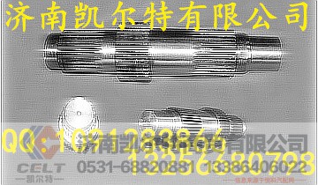 AZ9981320105,输入轴,济南凯尔特商贸有限公司