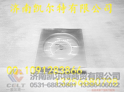 WG9130583003,电子车速里程表,济南凯尔特商贸有限公司