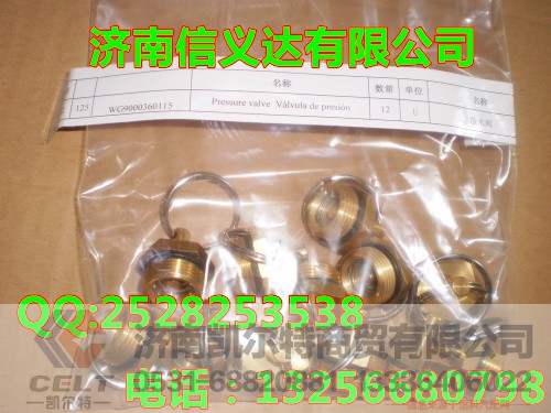 WG9000360115,放水阀,济南凯尔特商贸有限公司