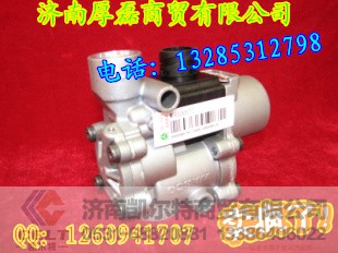 WG9000360517,EBL用电磁阀,济南凯尔特商贸有限公司