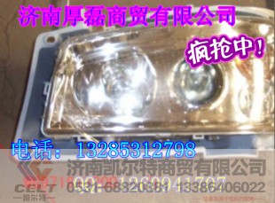 WG9719720001,左前照灯总成,济南凯尔特商贸有限公司