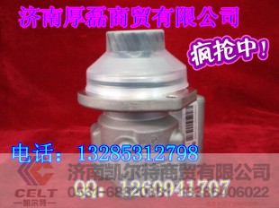 WG9619470080,轉向助力葉片泵,濟南凱爾特商貿(mào)有限公司