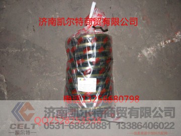 WG9970320036,组合油封总成,济南凯尔特商贸有限公司