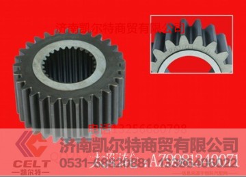 WG9981340071,-太阳轮 (Z=19),济南凯尔特商贸有限公司