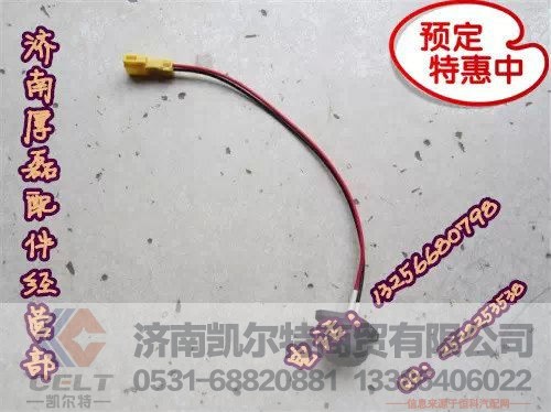 重汽陕汽豪沃金王子08款熄火开关WG9725716001