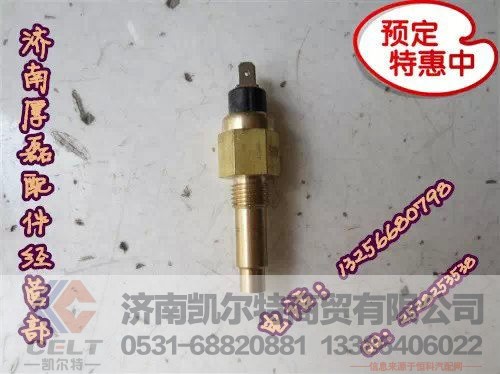 VG614090067J,STRW水温感应塞（大）,济南凯尔特商贸有限公司