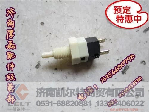 WG6100720020,STR門燈開關,濟南凱爾特商貿(mào)有限公司