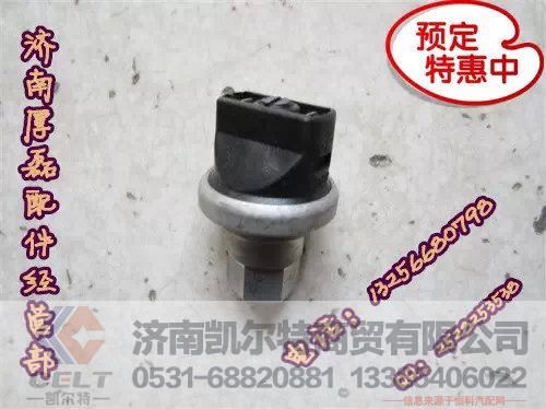 WG1200190040,空滤器堵塞开关,济南凯尔特商贸有限公司