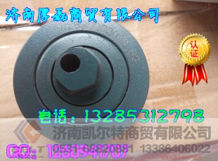 VG1560060069,张紧轮总成,济南凯尔特商贸有限公司