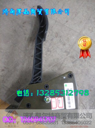 WG9416570010,电子油门总成,济南凯尔特商贸有限公司