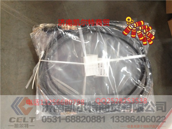 WG9725570300,豪沃10油门线,济南凯尔特商贸有限公司