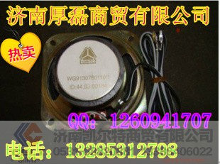 WG9130780110,扬声器,济南凯尔特商贸有限公司