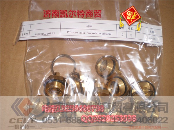 WG9000360115,放水阀,济南凯尔特商贸有限公司