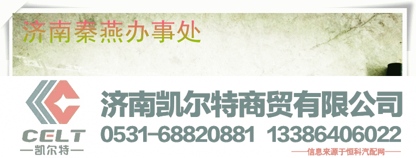 QY16900470020,回油管,济南凯尔特商贸有限公司